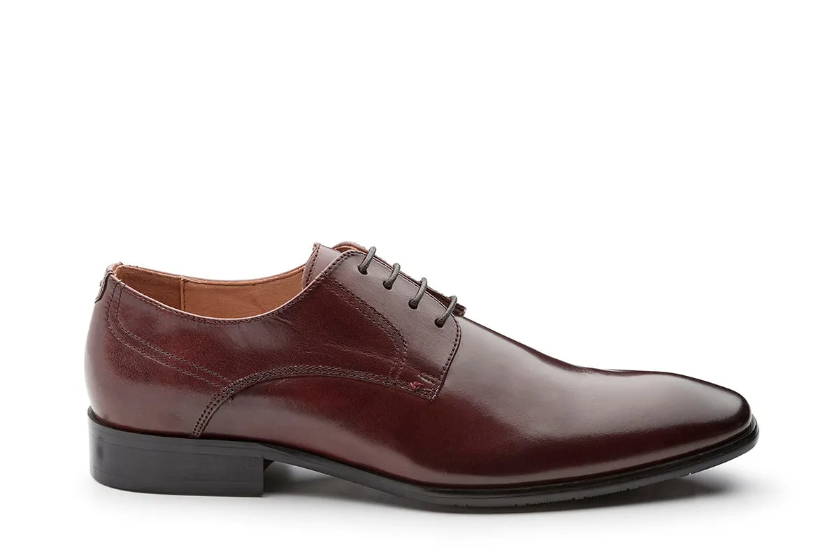 Ascoli - Ox Blood Brown