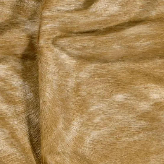 Brindle Beige Cowhide w/ Leather Trim