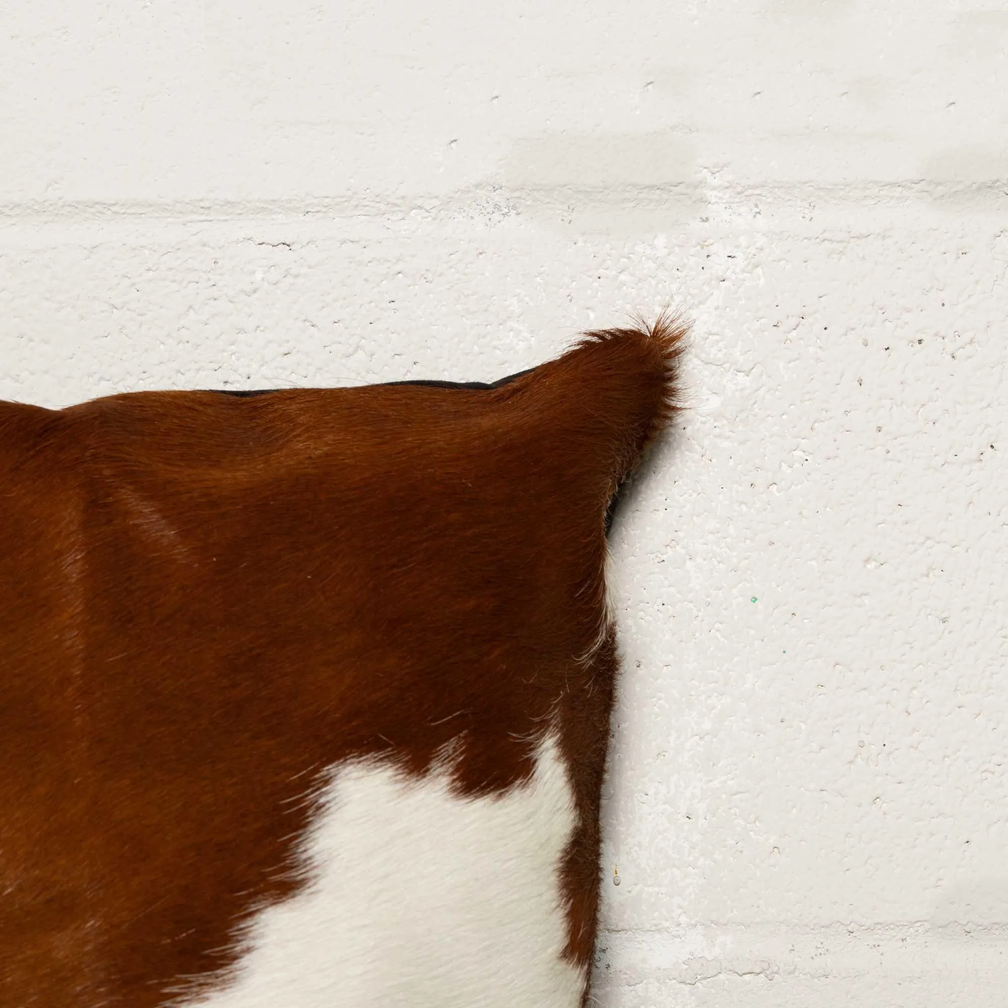 Brown & White Cowhide Pillows